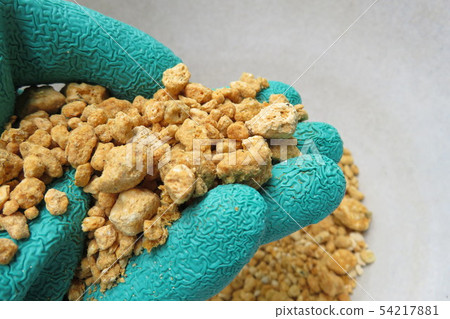 Sat Kanuma Sat 54217881