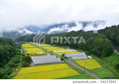 沿中央幹線的風景 54217883