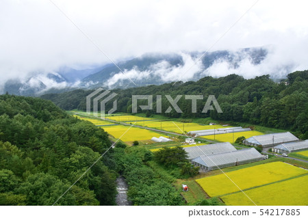 沿中央幹線的風景 54217885