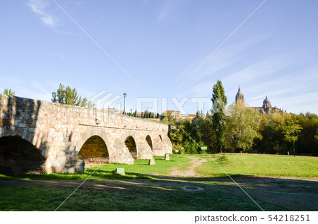Roman Bridge in Salamanca (Salamanca, Spain) 54218251