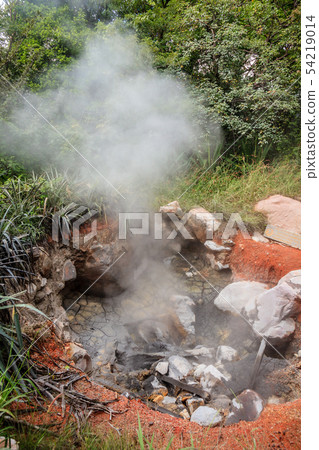 Boiling mud pot in Rincon de la Vieja National Boiling mud pot in Rincon de la Vieja National 54219014