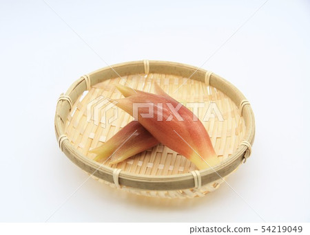 姜mioga 姜mioga 54219049