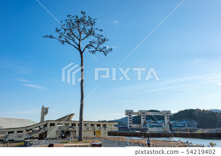 [岩手縣陸前高田]高田松原遺址的風景以及對未來的希望 54219402