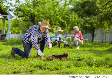 Pensioners living in cottage houses planting trees in neighborhood Pensioners living in cottage houses planting trees in neighborhood 54219478