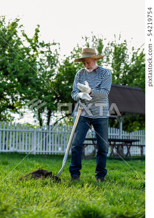 Grey-haired man wearing gloves working with shovel in garden 54219754