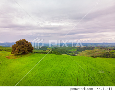 Typical landscape of the green Tuscany, Italy. 54219811