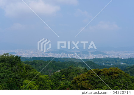 靜岡市容 54220714