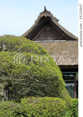 茅草屋頂Chichibunomiya紀念公園 茅草屋頂Chichibunomiya紀念公園 54220847