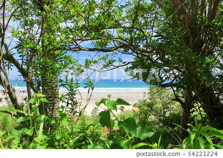 Izu Shimoda Rakuen Iritahama 54221224