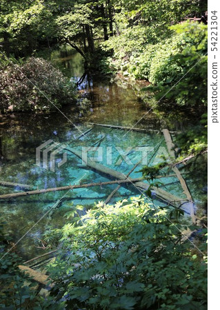 Konoike Pond (Kiyosato-cho, Hokkaido) 54221304