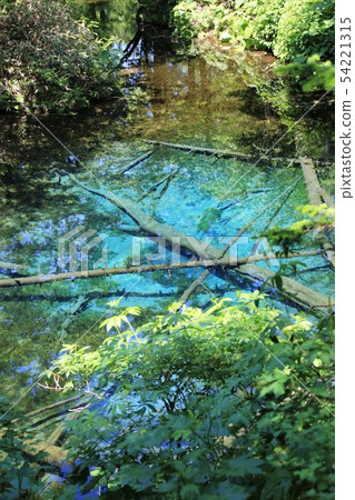 Konoike Pond (Kiyosato-cho, Hokkaido) Konoike Pond (Kiyosato-cho, Hokkaido) 54221315