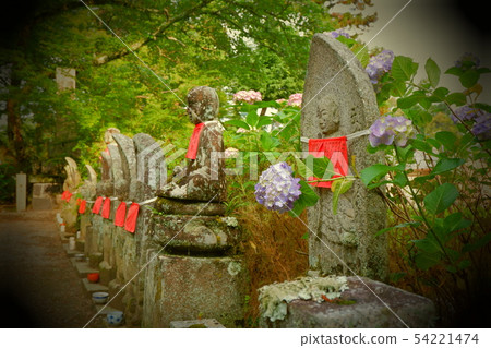 Jizo and a hydrangea 54221474