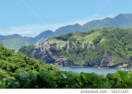 South Izu Tatsusaki snake snake South Izu Tatsusaki snake snake 54221481