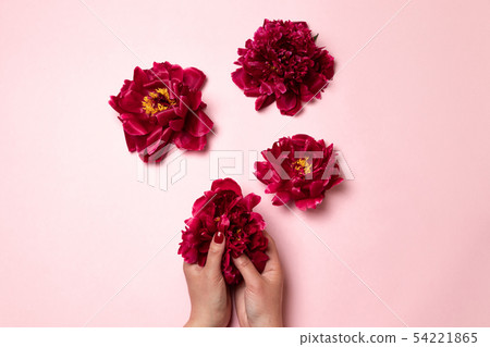 International Womens Day. Peony flower in the form of the female body. 54221865