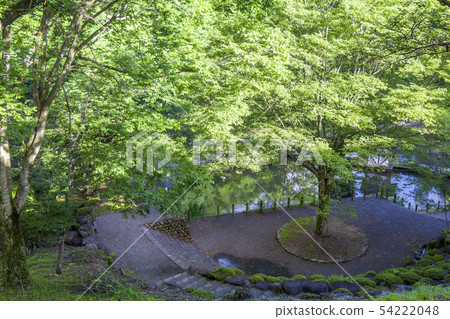 Gifu Michi-no-Eki Meiho（Masumi no Sato Park） 54222048