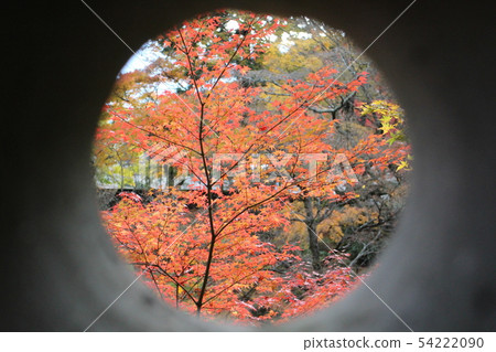 秋葉在大久保寺廟地面的窗口 秋葉在大久保寺廟地面的窗口 54222090