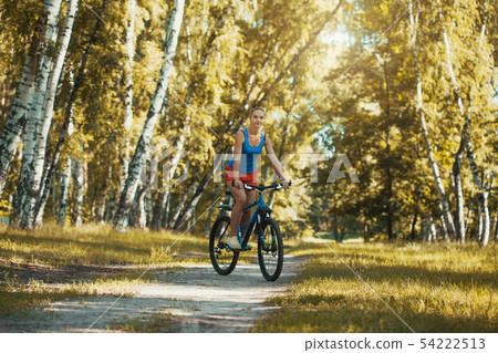 cyclist cycling mountain bike on birch forest trail cyclist cycling mountain bike on birch forest trail 54222513