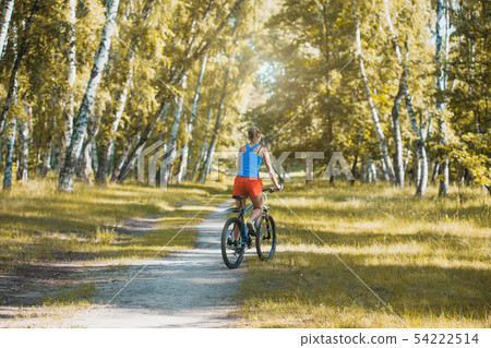 cyclist cycling mountain bike on birch forest trail 54222514