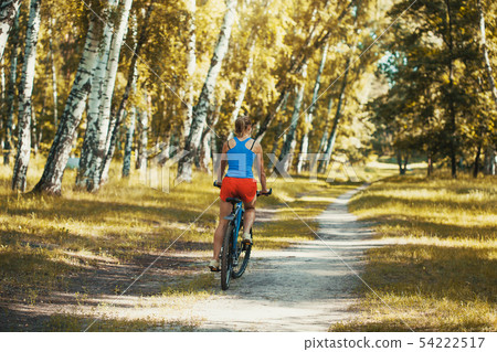 cyclist cycling mountain bike on birch forest trail cyclist cycling mountain bike on birch forest trail 54222517