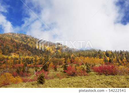Toyama Prefectural Yamakasahara Fall Tougihara Fall Toyama Tourist Attractions 54222541