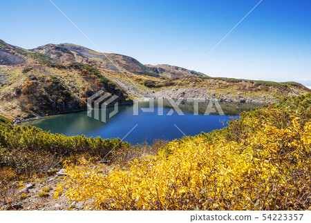 Yellow leaf Midoriga pond Autumn Toyama Prefecture Murododaira Toyama tourist spots 54223357