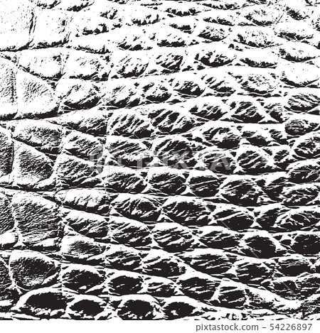 Serpent Overlay Texture - Stock Illustration [54226897] - PIXTA