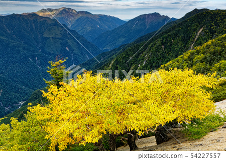 山的黃葉和Senjogatake。 54227557