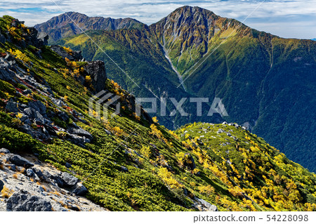 A view of the yellow leaves and the northern and northern peaks of Mt. 54228098