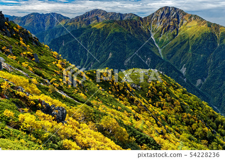 A view of the yellow leaves and the white peaks of Mt. 54228236