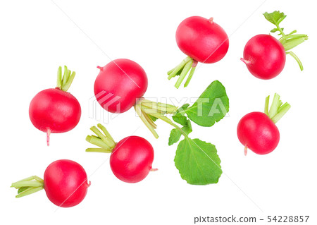 fresh whole radish isolated on white background. Top view fresh whole radish isolated on white background. Top view 54228857