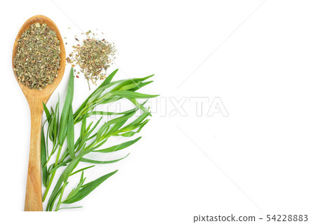 tarragon or estragon fresh and dried isolated on a white background with copy space for your text 54228883
