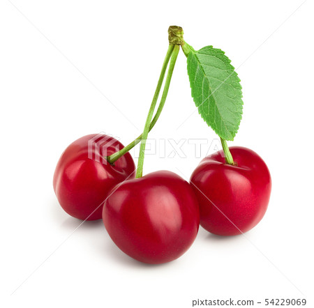 Sweet red cherries with leaves isolated on white background macro 54229069