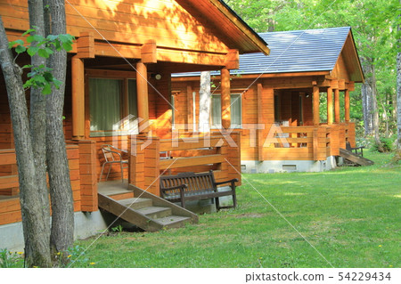 Cottage, log house, corner log in the forest 54229434