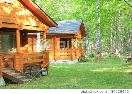 Cottage in the forest, log house, birch forest, corner log 54229435