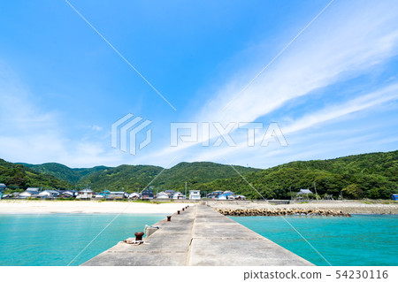 Shinjo Gotocho Enohama 54230116