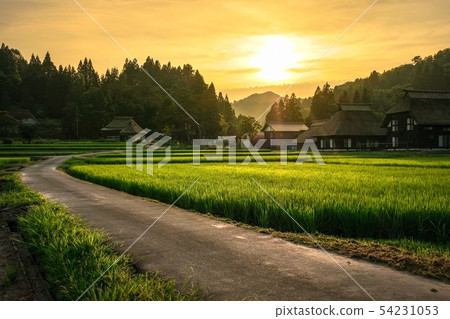 Summer rural landscape (at dusk of Ashinoshima ring village) Summer rural landscape (at dusk of Ashinoshima ring village) 54231053