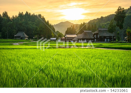 Summer rural landscape (at dusk of Ashinoshima ring village) Summer rural landscape (at dusk of Ashinoshima ring village) 54231061
