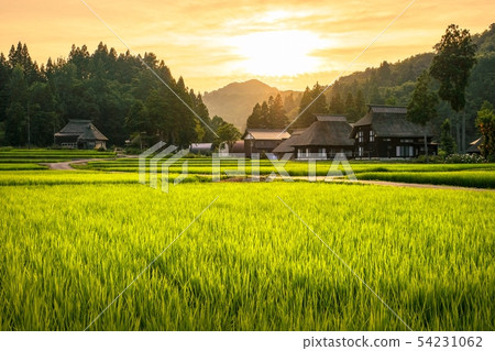 Summer rural landscape (at dusk of Ashinoshima ring village) Summer rural landscape (at dusk of Ashinoshima ring village) 54231062