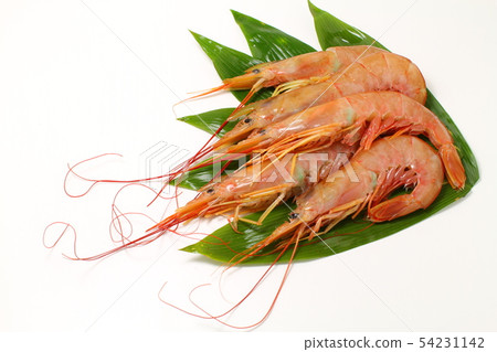 蝦，蝦，魚和貝類 54231142