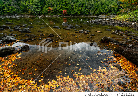 秋天風景色的Kita Yatsugatake / Kamoko池塘 秋天風景色的Kita Yatsugatake / Kamoko池塘 54231232