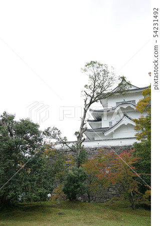 伊賀上野城堡 54231492