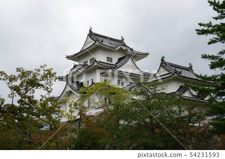 Iga Ueno Castle 54231593