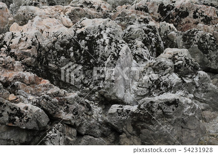 Fugetsu Nada 54231928