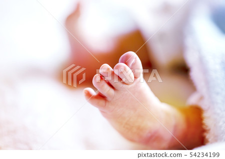 兩周大的嬰兒腳 兩周大的嬰兒腳 54234199