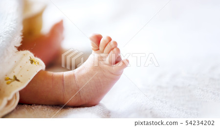 兩周大的嬰兒腳 兩周大的嬰兒腳 54234202