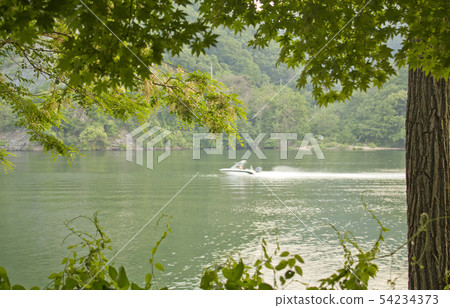 Branches and rivers Branches and rivers 54234373