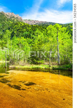 <<長野縣>鮮綠色Kamikochi,田代池塘 <<長野縣>鮮綠色Kamikochi,田代池塘 54234565