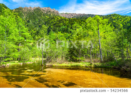 <<長野縣>鮮綠色Kamikochi，田代池塘 54234566