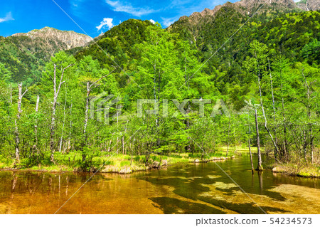 << Nagano Prefecture> Fresh green Kamikochi, Tashiro Pond 54234573