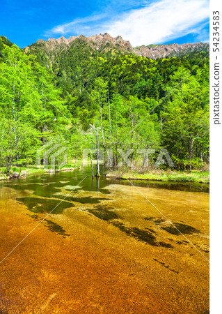 << Nagano Prefecture> Fresh green Kamikochi, Tashiro Pond 54234583